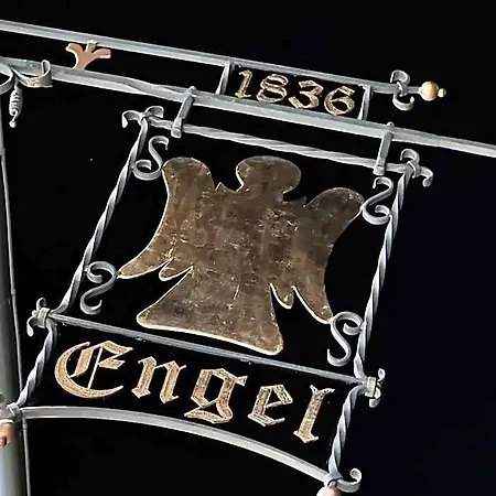 Hotel Engel Buch
